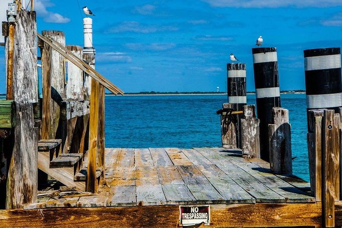 Egmont Key Snorkeling Dolphin Tour - What to bring and how the boat works