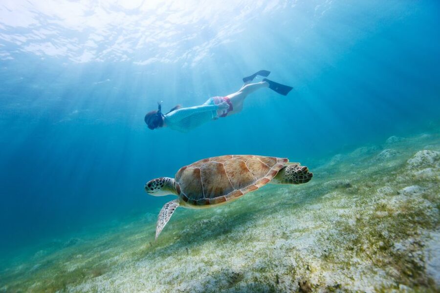 Emerald Coast: Afternoon Snorkel & Dolphin Tour - Key points to know before booking