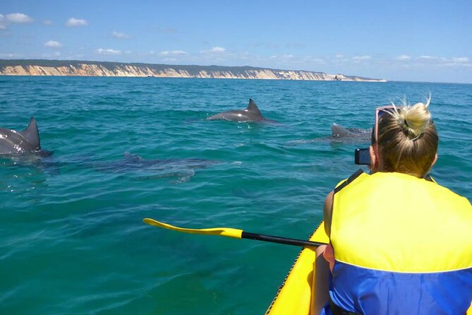 Epic Kayak With Dolphins & Wildlife - 4WD Beach Adventure Noosa - Great Beach Drive makes the journey part of the tour