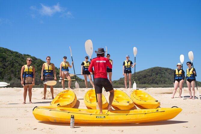 Epic Kayak With Dolphins & Wildlife - 4WD Beach Adventure Noosa - Is the $115.48 price good value?