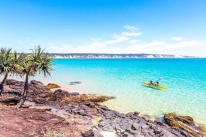 Epic Kayak With Dolphins & Wildlife - 4WD Beach Adventure Noosa - Who should book this adventure?