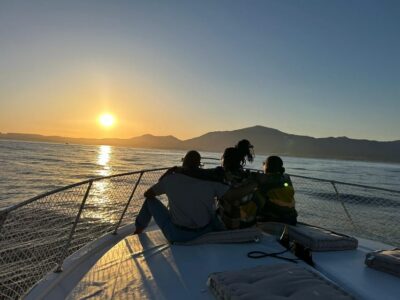 Estepona: Dolphin Searching Sunset Cruise with Drink & Snack