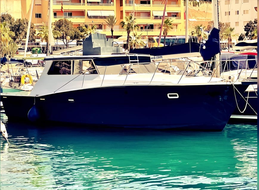 Estepona: Dolphin Searching Sunset Cruise with Drink & Snack - Shared sailing or private boat?