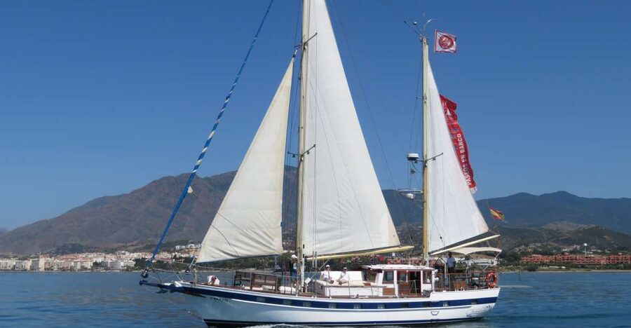 Estepona: Dolphin Watching Sailboat Cruise with Drink - Coast views from the water