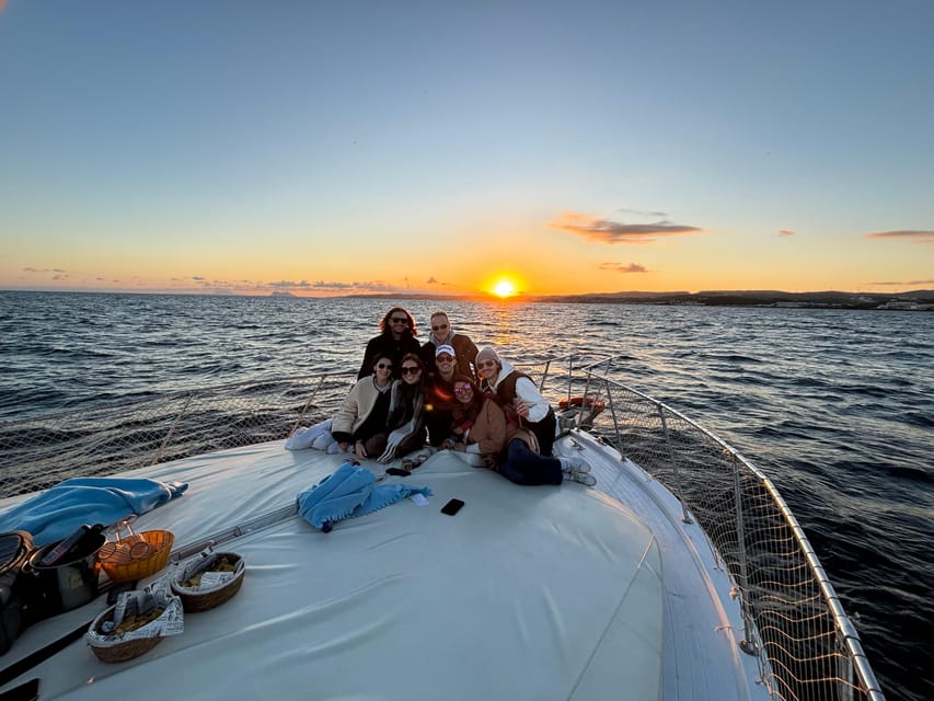 Estepona: Dolphins Searching Sea Cruise with Drink & Snacks - Key points before you book