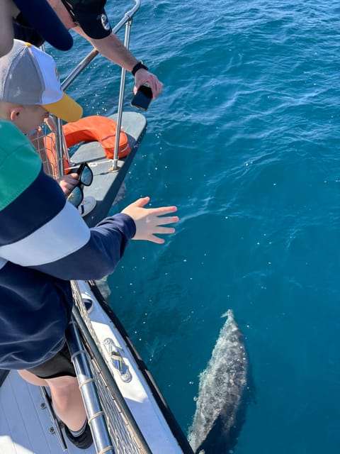 Estepona: Dolphins Searching Sea Cruise with Drink & Snacks - Why sunset departures are worth considering