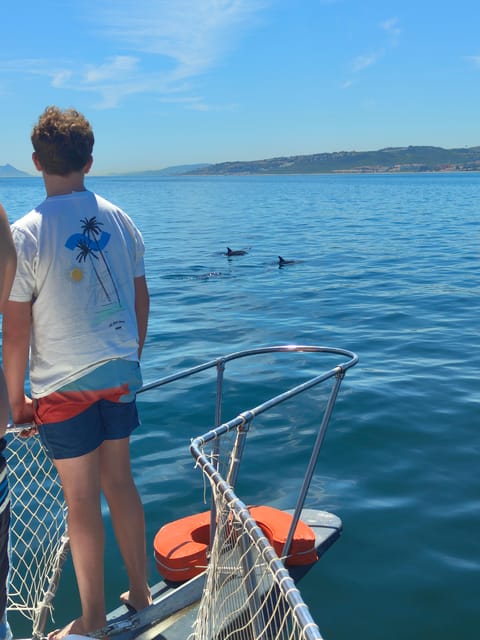 Estepona: Dolphins Searching Sea Cruise with Drink & Snacks - Who will enjoy this trip most?
