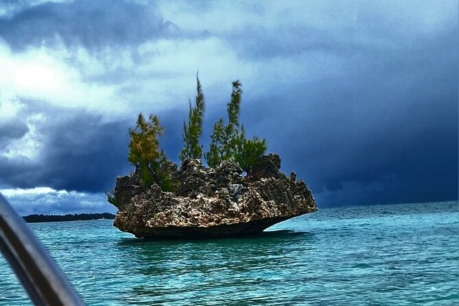 Exciting Dolphin encounters in the Maurtius's lagoon - Key points to know before you book