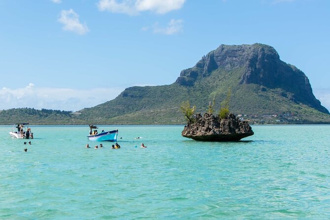Exciting Dolphin encounters in the Maurtius's lagoon - Finding dolphins in Mauritius’s lagoon