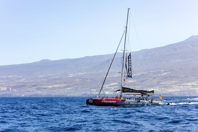 Exclusive Freebird Catamaran Whale and Dolphin Cruise to Caleta - The swim stop and what to bring