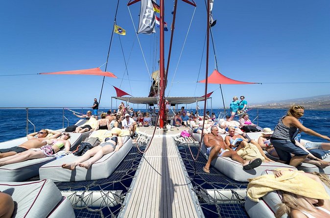 Exclusive Freebird Catamaran Whale and Dolphin Cruise to Caleta - Who will enjoy this catamaran trip most