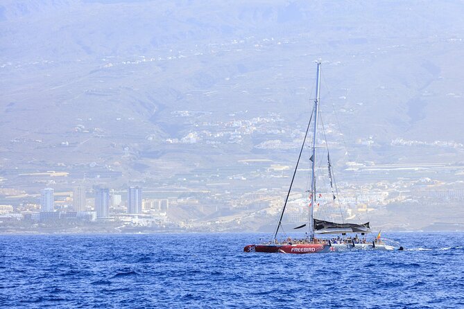 Exclusive Freebird Catamaran Whale and Dolphin Cruise to Caleta - La Caleta and the return along Tenerife’s coast