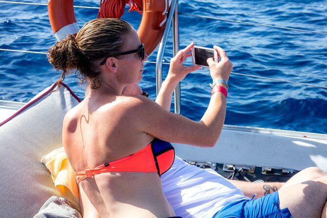 Exclusive Freebird Catamaran Whale & Dolphin to Masca From South - How the $70.98 price compares with the day