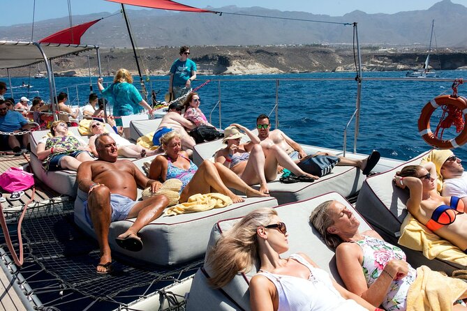 Exclusive Freebird Catamaran Whale & Dolphin to Masca From South - Practical advice for a smoother four hours