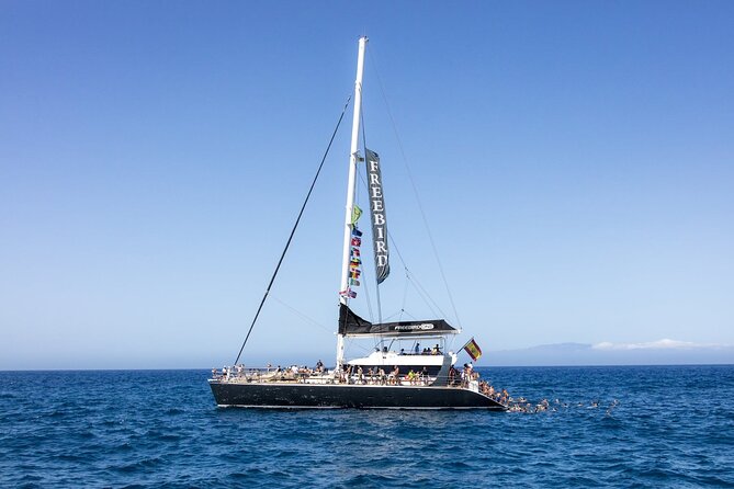 Exclusive Freebird Catamaran Whale & Dolphin to Masca From South - The view toward Los Gigantes cliffs