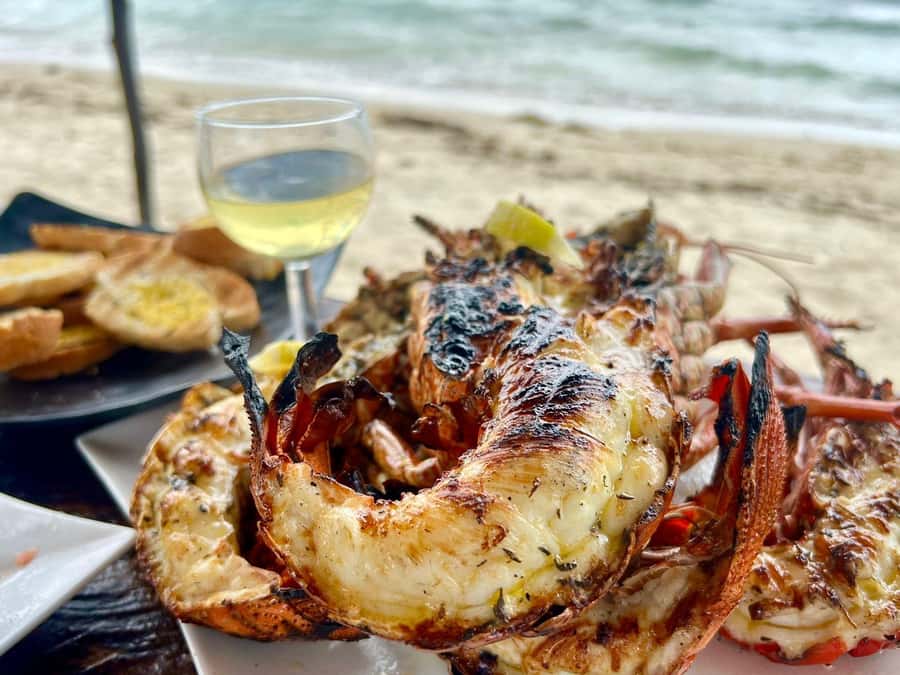 Exclusive:full-day/Dolphins watch& swimming Crystal Rock+Bbq - Starting at Le Morne Public Beach