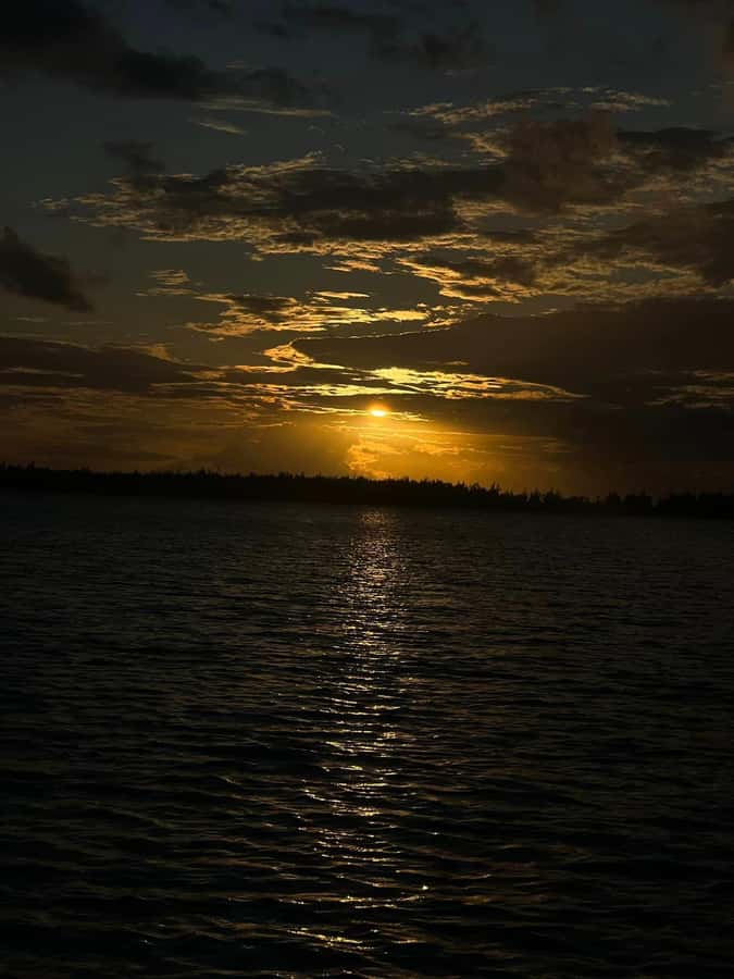 Exclusive:full-day/Dolphins watch& swimming Crystal Rock+Bbq - Lunch on Bénitiers Island
