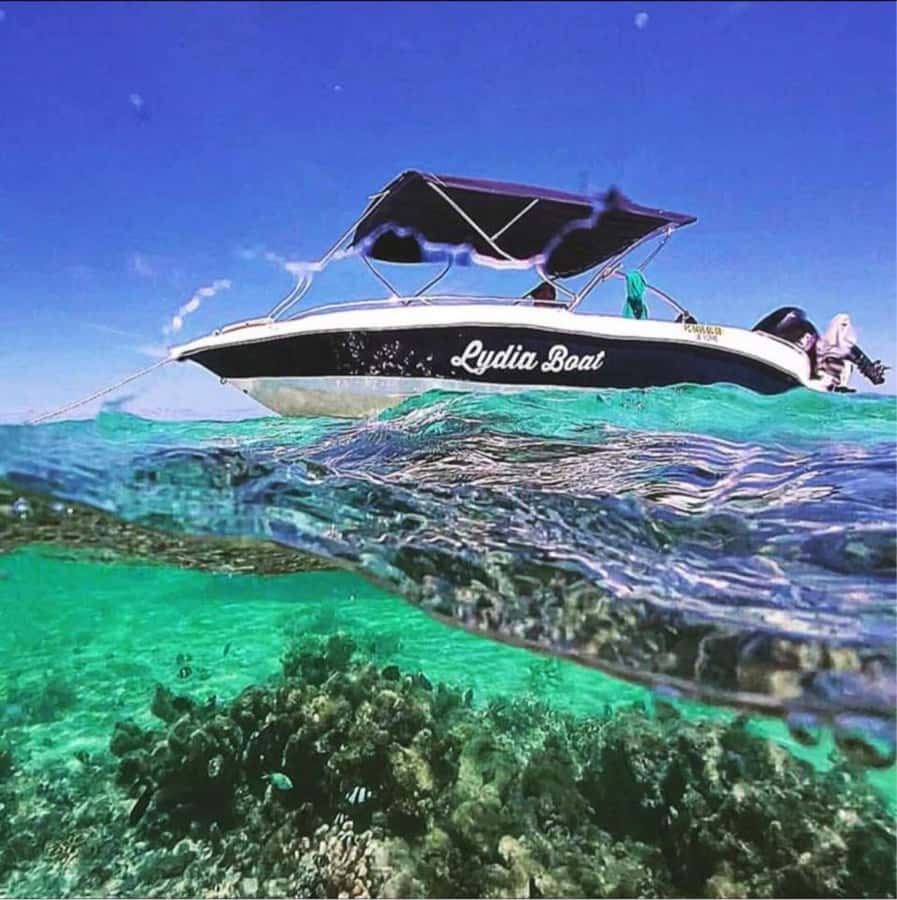 Exclusive:full-day/Dolphins watch& swimming Crystal Rock+Bbq - Should you book the Lydia Boat trip?