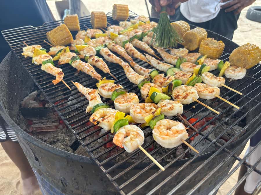 Exclusive:full-day/Dolphins watch& swimming Crystal Rock+Bbq - Watching dolphins respectfully in open water