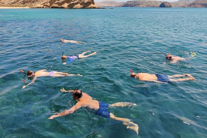 Experience Dolphin watching and snorkeling in Muscat - Snorkeling among coral beds and fish