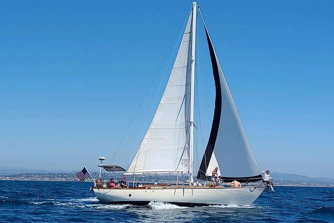 Experience Oceanside Sailing with Whales and dolphins! - What the $130 Price Means
