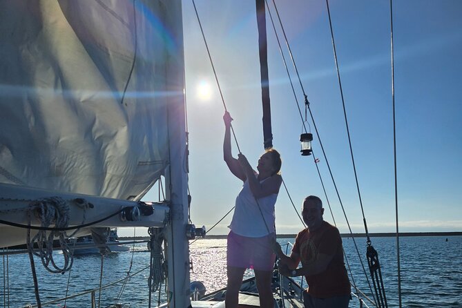 Experience Oceanside Sailing with Whales and dolphins! - Who Will Enjoy This Oceanside Sail