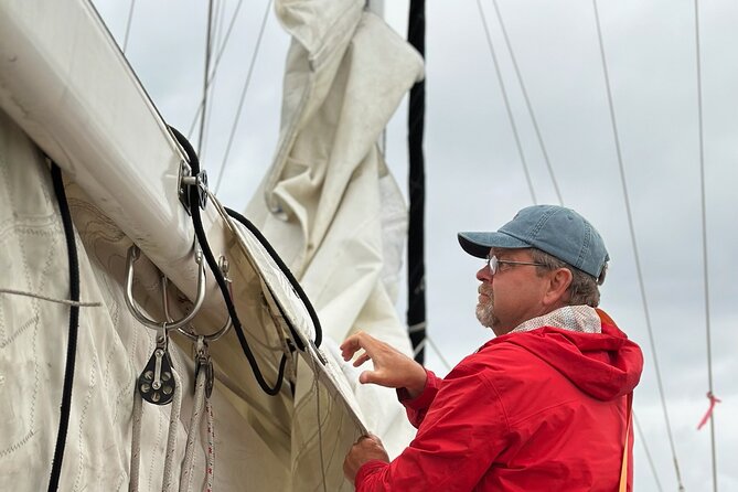 Experience Oceanside Sailing with Whales and dolphins! - Weather, Timing, and Cancellation Details