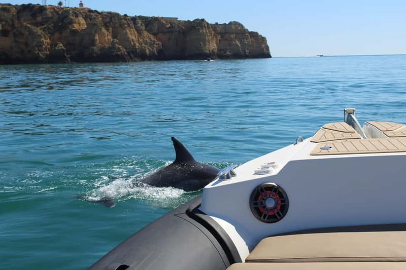 Explore Benagil, Ponta da Piedade and Dolphins in Algarve - One boat ride, three Algarve highlights