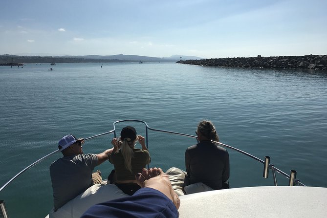 Family and Private Group Whale and Dolphin Watching - Three hours of watching the sea