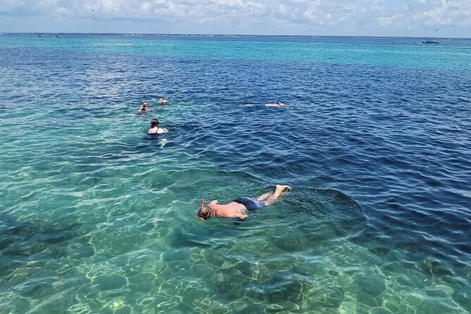 Family-Friendly Snorkeling and Dolphin Tour from FWB - Passing Crab Island near Destin