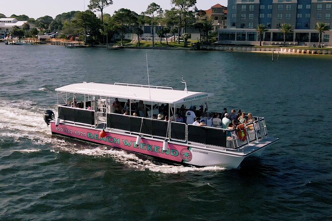 Family-Friendly Snorkeling and Dolphin Tour from FWB - Boarding at 12 Miracle Strip Parkway