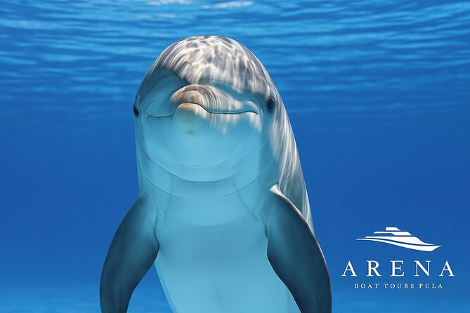 Fantastic DOLPHIN & SUNSET TOUR with dinner ( Pula-NP BRIJUNI ) - Leaving Pula Harbour at 6 pm