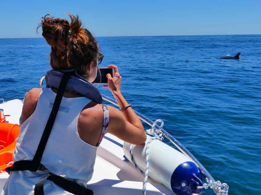 Faro: Dolphin and Wildlife Watching in the Atlantic Ocean - What else you might see