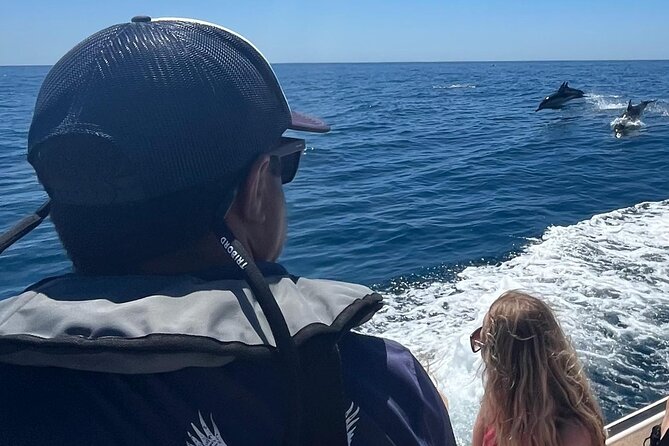 FARO Fantastic Dolphin Observation Tour and Marine Life - Leaving Faro marina at 8:30 am