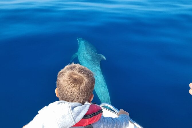 FARO Fantastic Dolphin Observation Tour and Marine Life - A realistic three-hour schedule