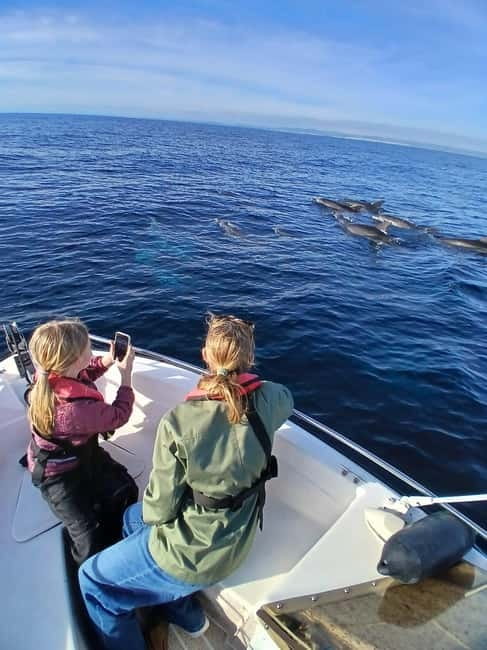 Faro: Funtastic Dolphin Watching Boat Tour - Responsible Wildlife Watching, Not a Dolphin Show
