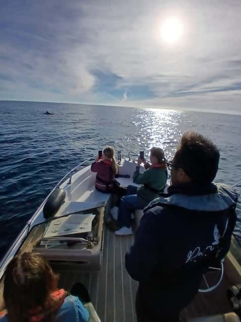Faro: Funtastic Dolphin Watching Boat Tour - Should You Book the Pudim Real Boat Tour?