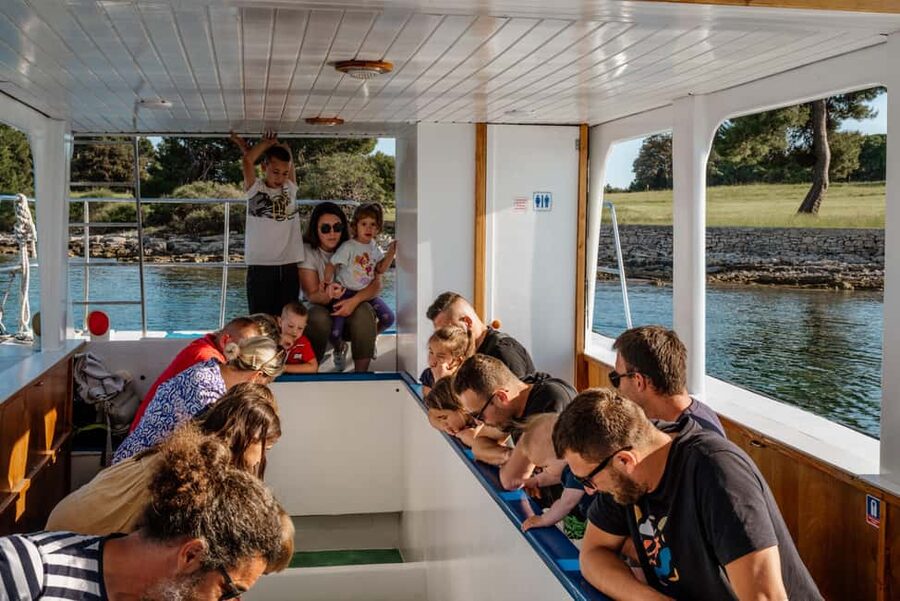FAŽANA: DOLPHIN SAFARI - What the glass-bottom boat adds