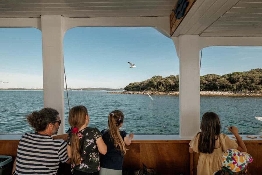FAŽANA: DOLPHIN SAFARI - Searching the Big and Small Brijun canal