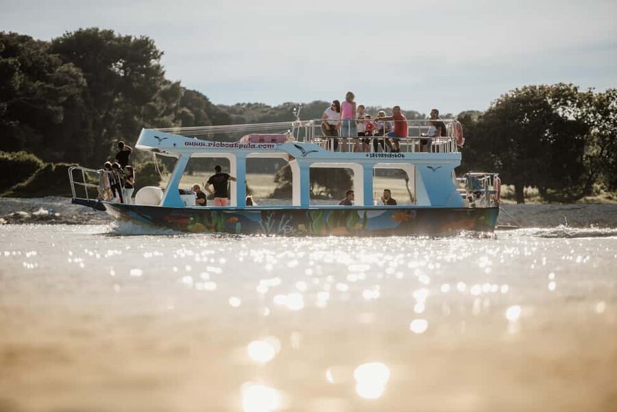 FAŽANA: DOLPHIN SAFARI - How it works for children