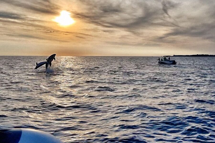 Fazana: dolphin safari and sightseeing in Brijuni at sunset - Sunset over the Istrian coast