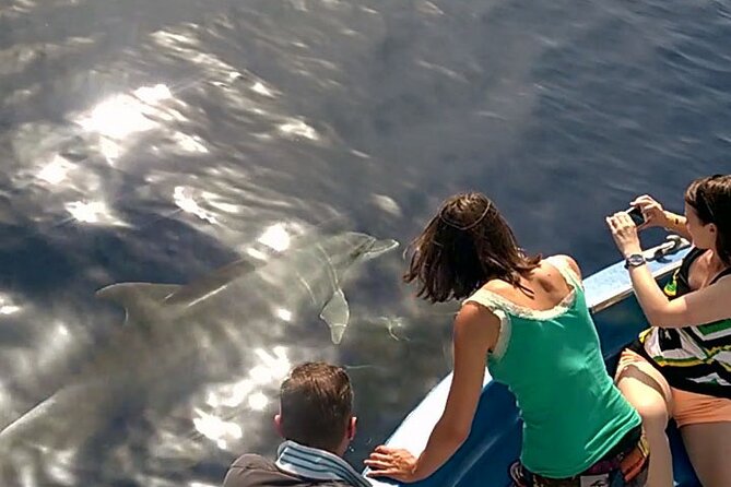 Fishing, Snorkelling & Dolphin Boat Tour - Fishing along Calabria’s coast