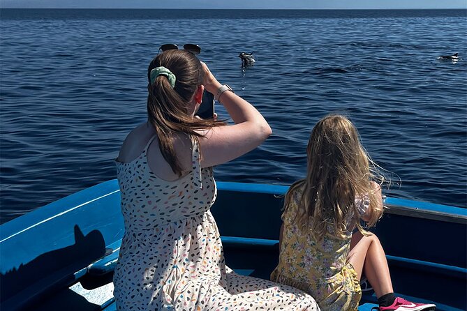 Fishing, Snorkelling & Dolphin Boat Tour - What three hours gives you