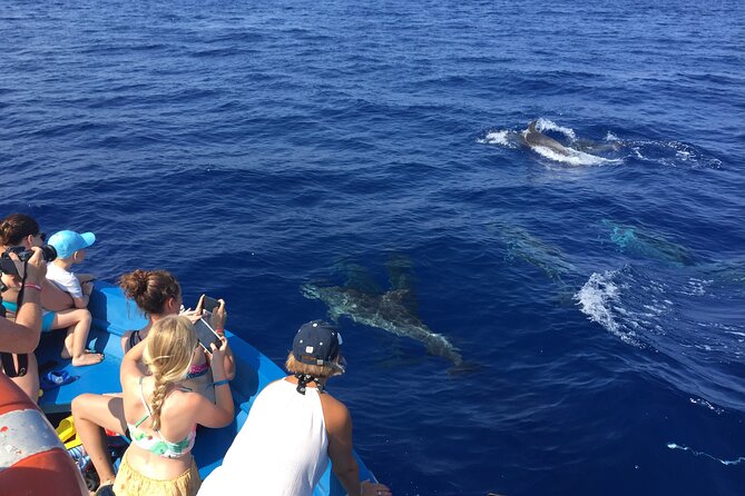 Fishing, Snorkelling & Dolphin Boat Tour - Who will enjoy this boat trip most