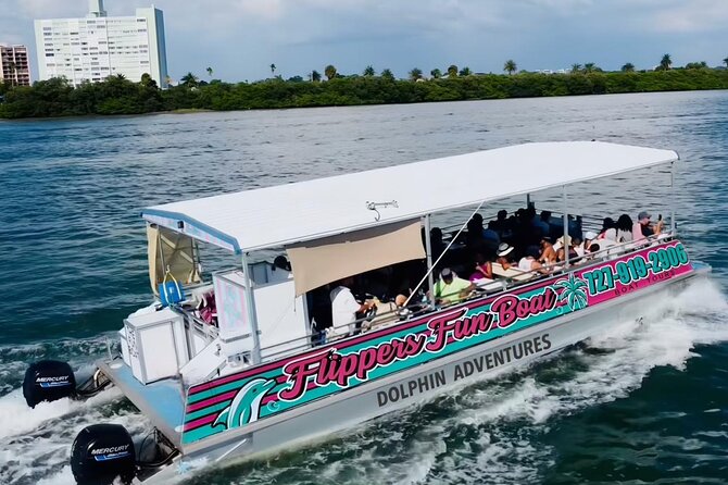 !! Flippers Fun Boat !! Dolphin Adventure Clearwater Beach! - Dolphin watching without a staged show