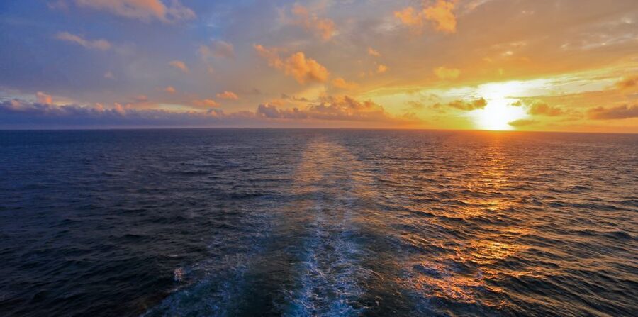 Florida: Emerald Coast Sunset & Dolphin Cruise with Guide - Why the dolphin and sunset combination works