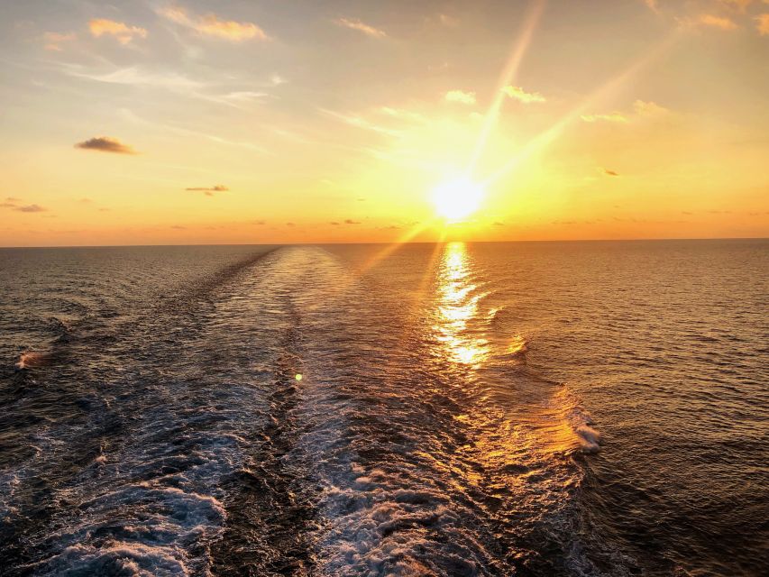 Florida: Emerald Coast Sunset & Dolphin Cruise with Guide - What the $40 price delivers