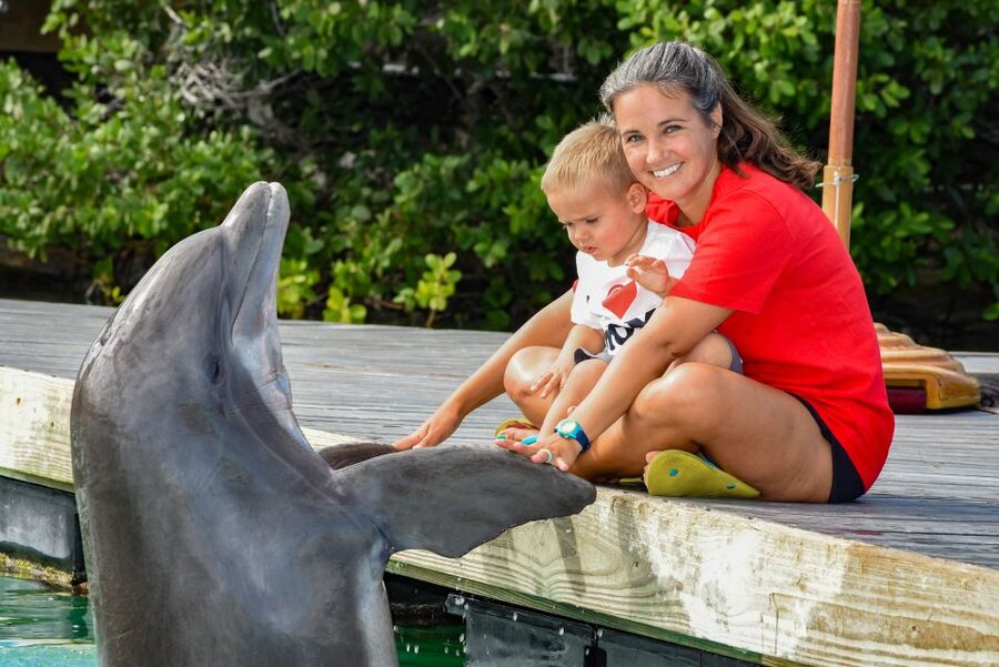 Florida Keys: Dockside Dolphin Experience - The included photographer is a real advantage