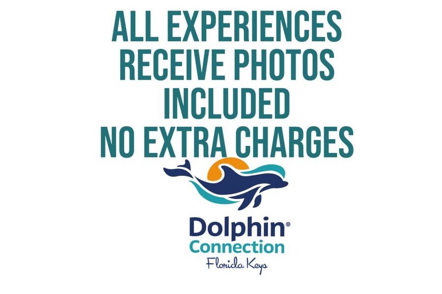 Florida Keys: Dockside Dolphin Experience - A good fit for families, with a few firm rules