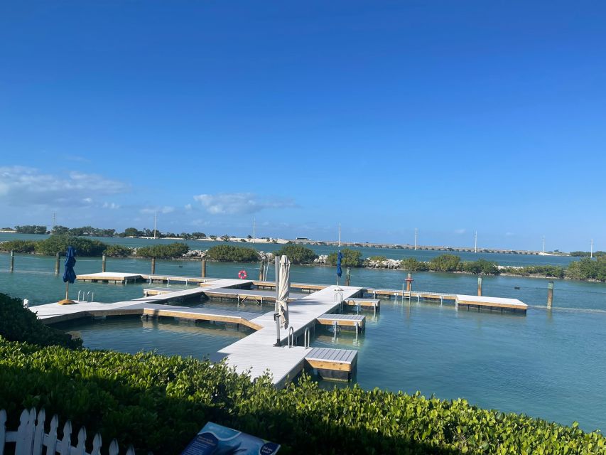 Florida Keys: Dockside Dolphin Experience - The short class gives the encounter some purpose